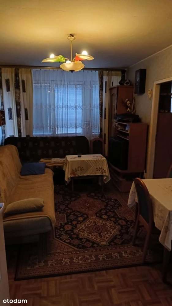 okolice Ogrodu Botanicznego WINDA/OD ZARAZ! - Pełny obrazek: 4/20