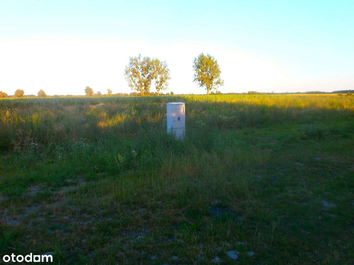 Goniczki k/Wrześni działka budowlana-17