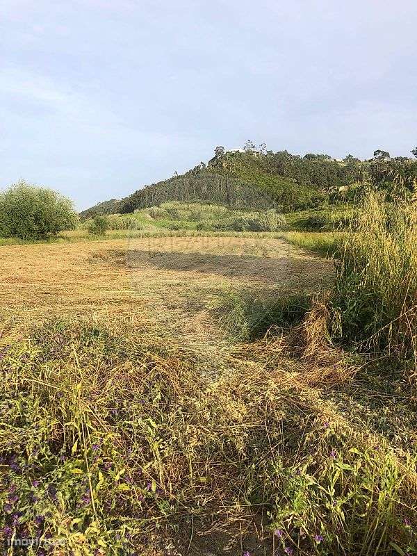 Terreno  para venda - Grande imagem: 4/8