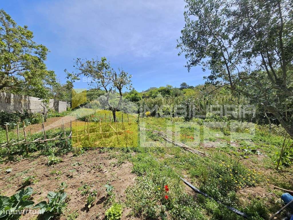 Terreno Rústico com 1.000 m2 na Malveira-Mafra.-17