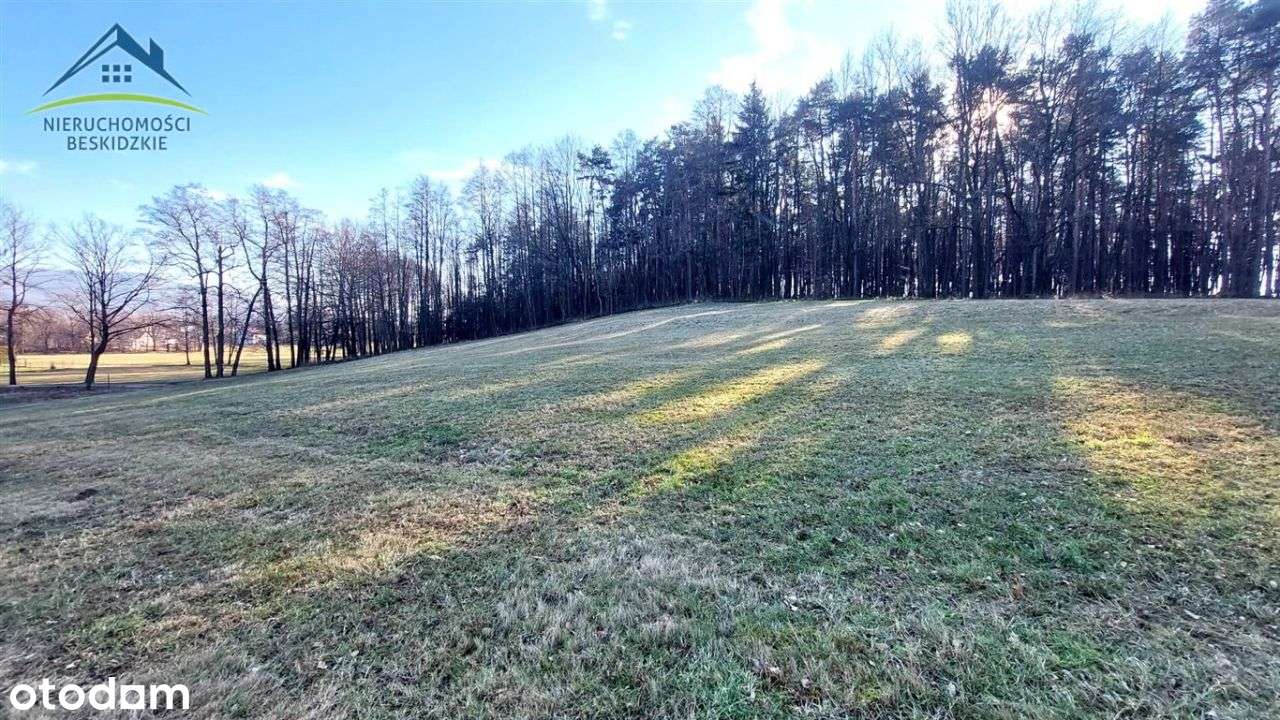 9700m2 w Ustroniu - prywatność, przestrzeń, widoki-3