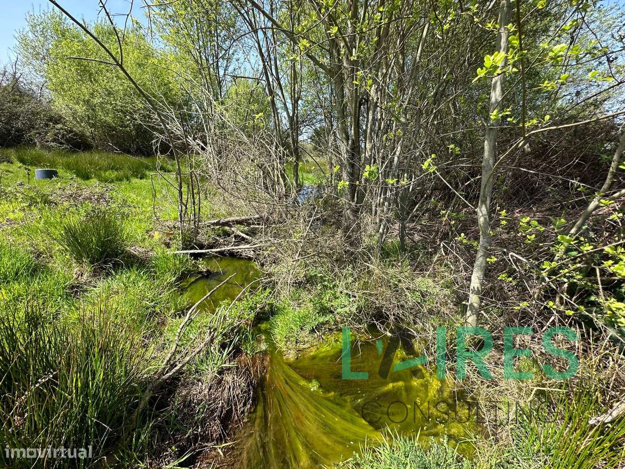 Vende-se em Pinhanços, Seia-9