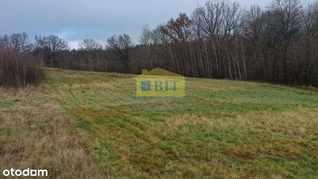 Działka 1,1041 ha nad jeziorem Ostrowiec-16