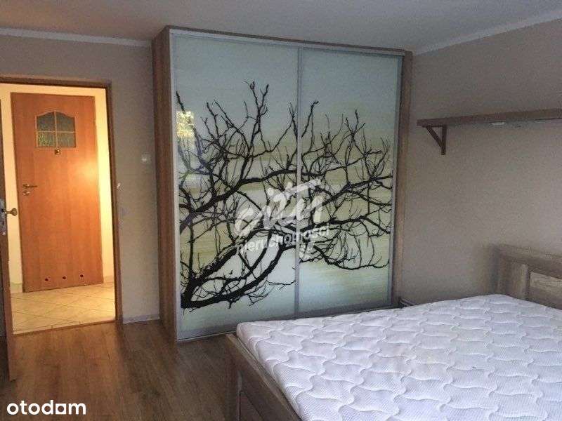 Dom na wynajem w pobliżu Goleniowa - Pełny obrazek: 4/8