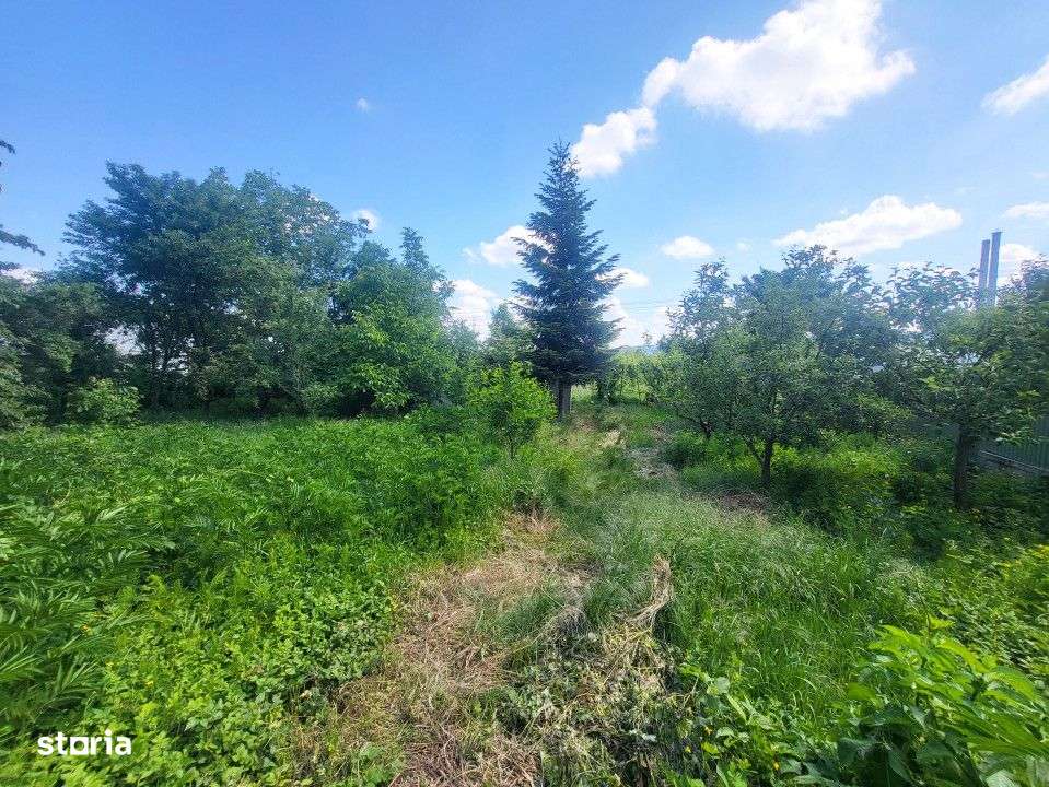 Teren Electricienilor Bacau - Imagine principală: 4/6