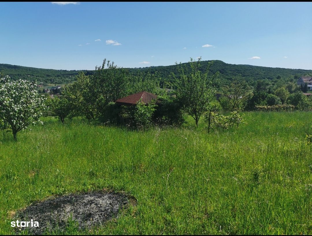 Teren intravilan zona str Ghinzii (podgoriei)