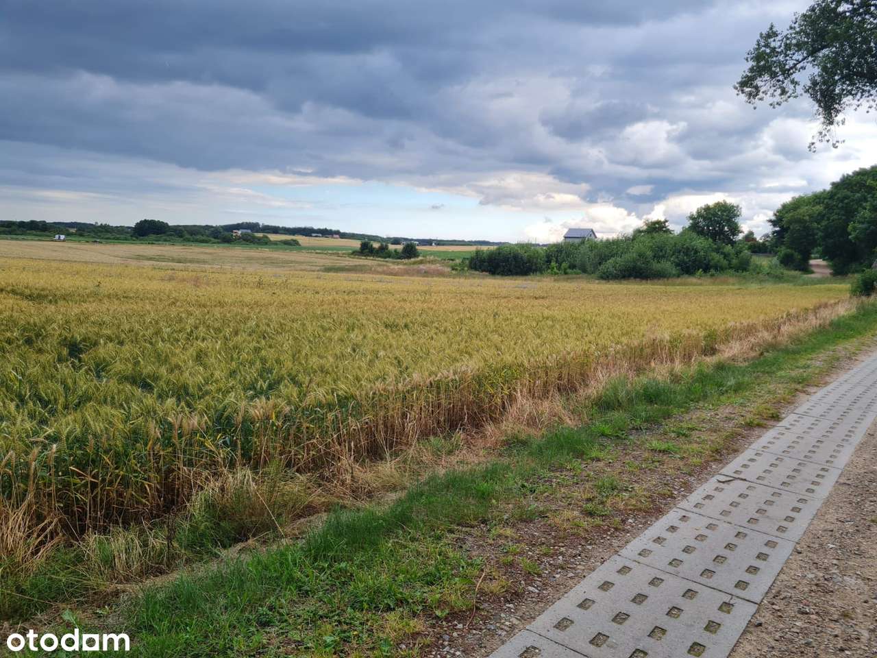 Działka budowalana Tatów Biesiekierz Warunki Zabudowy - Pełny obrazek: 3/3