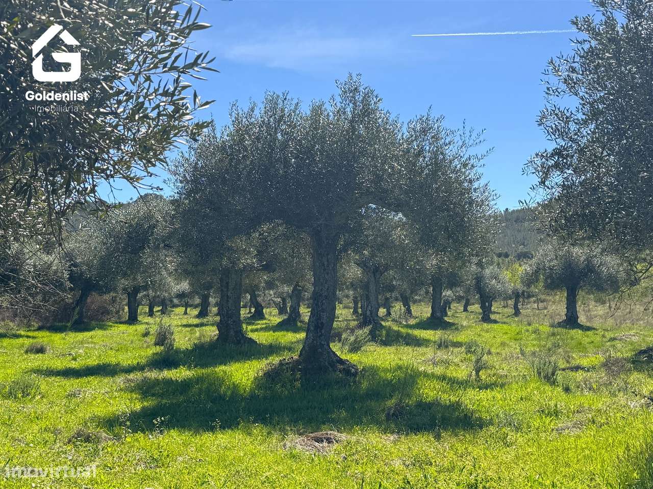 Herdade  Venda em Penamacor,Penamacor-33