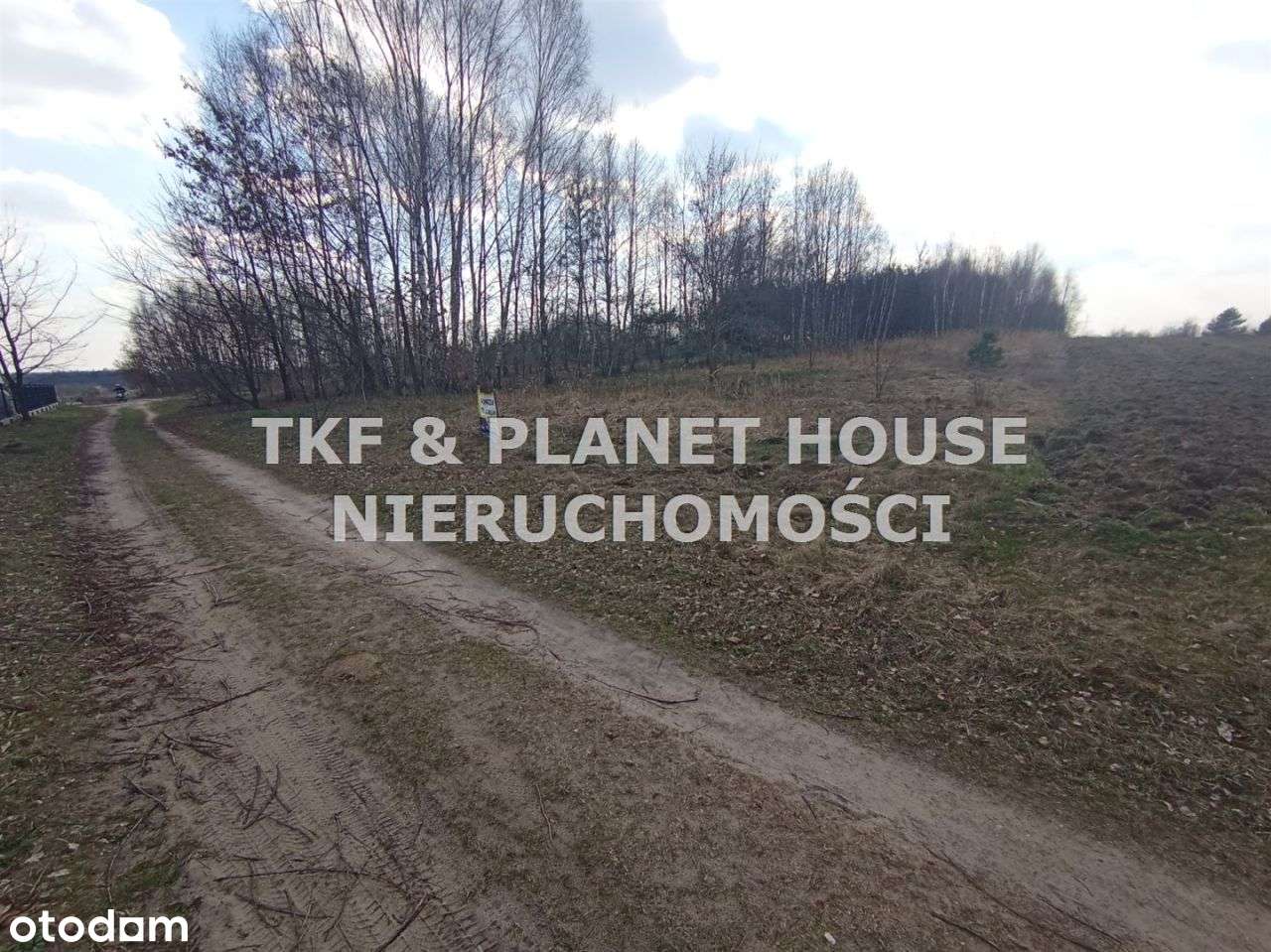 Działka 3697 m2 w Opocznie Wz - Pełny obrazek: 4/5