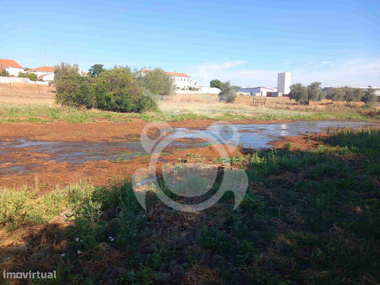Moradia T4 com Terreno de 8.250m² - Serpa-26
