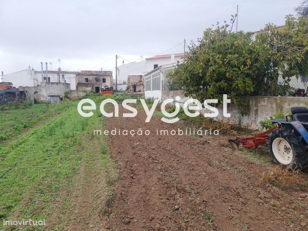 Terreno Rústico com 1000 m2 de área em Almeijoafras - Pad...