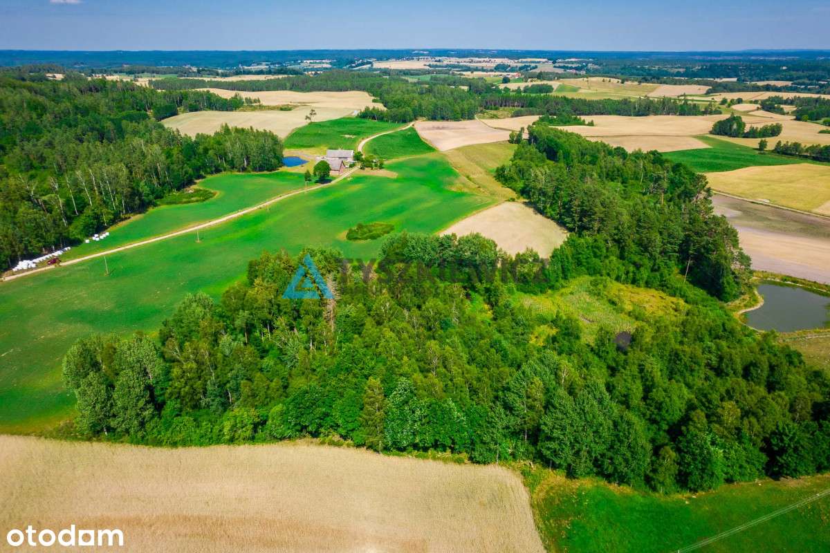 Malownicza Zalesiona Działka Ze Stawem W Gołczewie - Pełny obrazek: 5/16