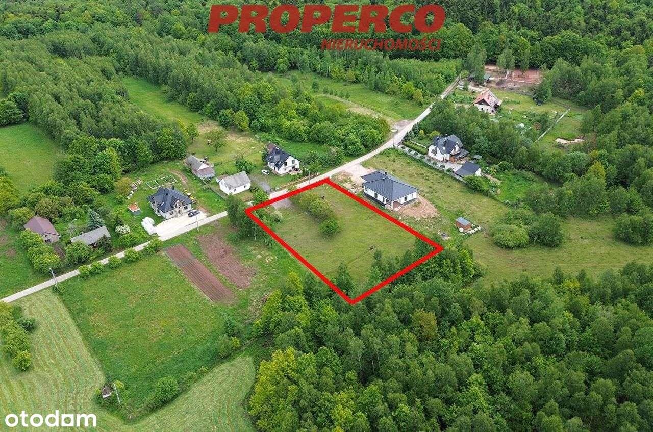 Działka 3029m2 Mniów, 45x67(m), las obok - Pełny obrazek: 2/8