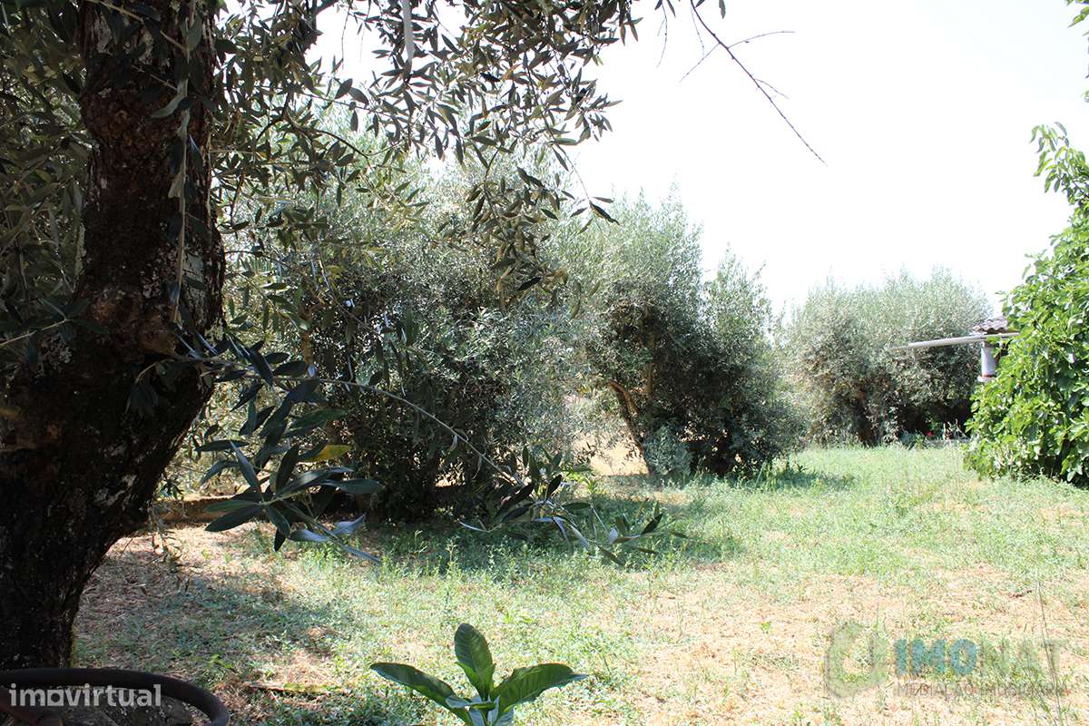 Armazém Industrial-42