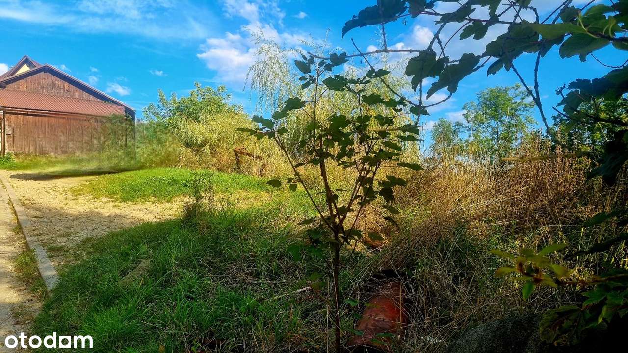 Kameralna działka w Szczawnicy-4