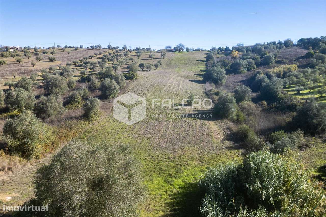 Terreno Para Construção  Venda em Moçarria,Santarém-5