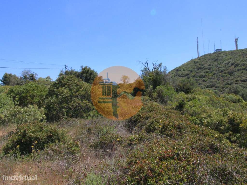 Terreno Rústico - Grande imagem: 5/14