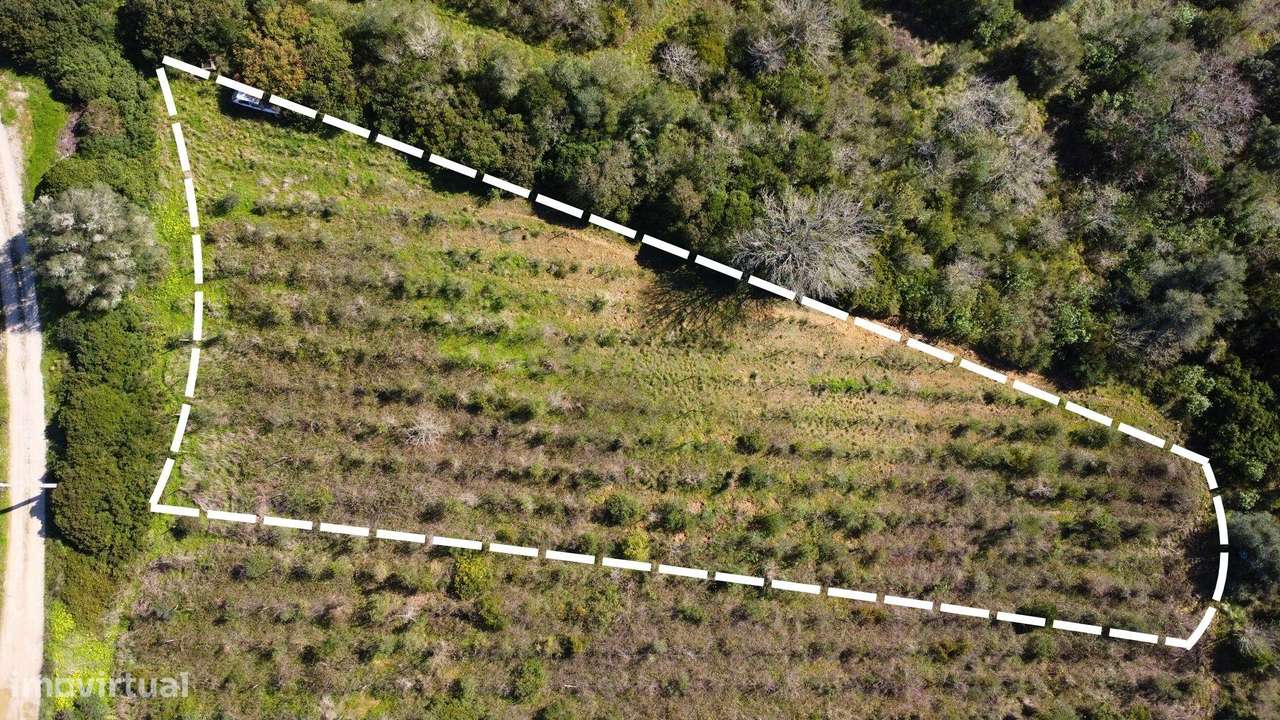 Terreno Agrícola com Vinha 4562 m² – Chanca, Sobral da Abelheira - Grande imagem: 2/8