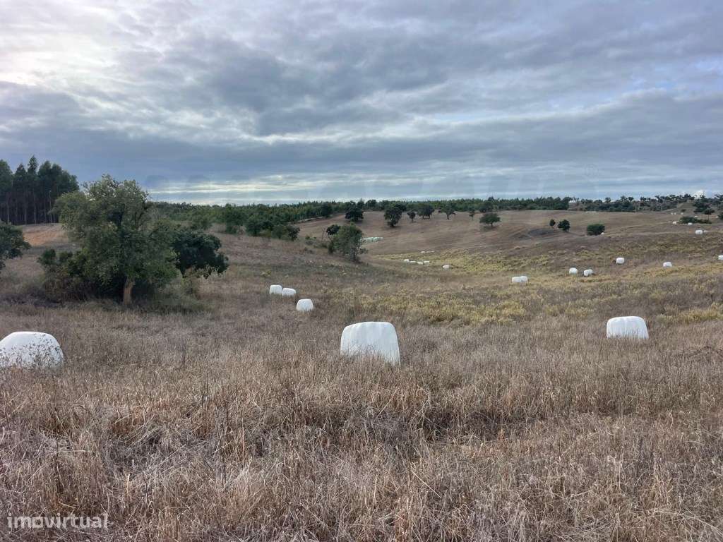 Monte Típico Alentejano para Reabilitar - Santiago do Cacém-9