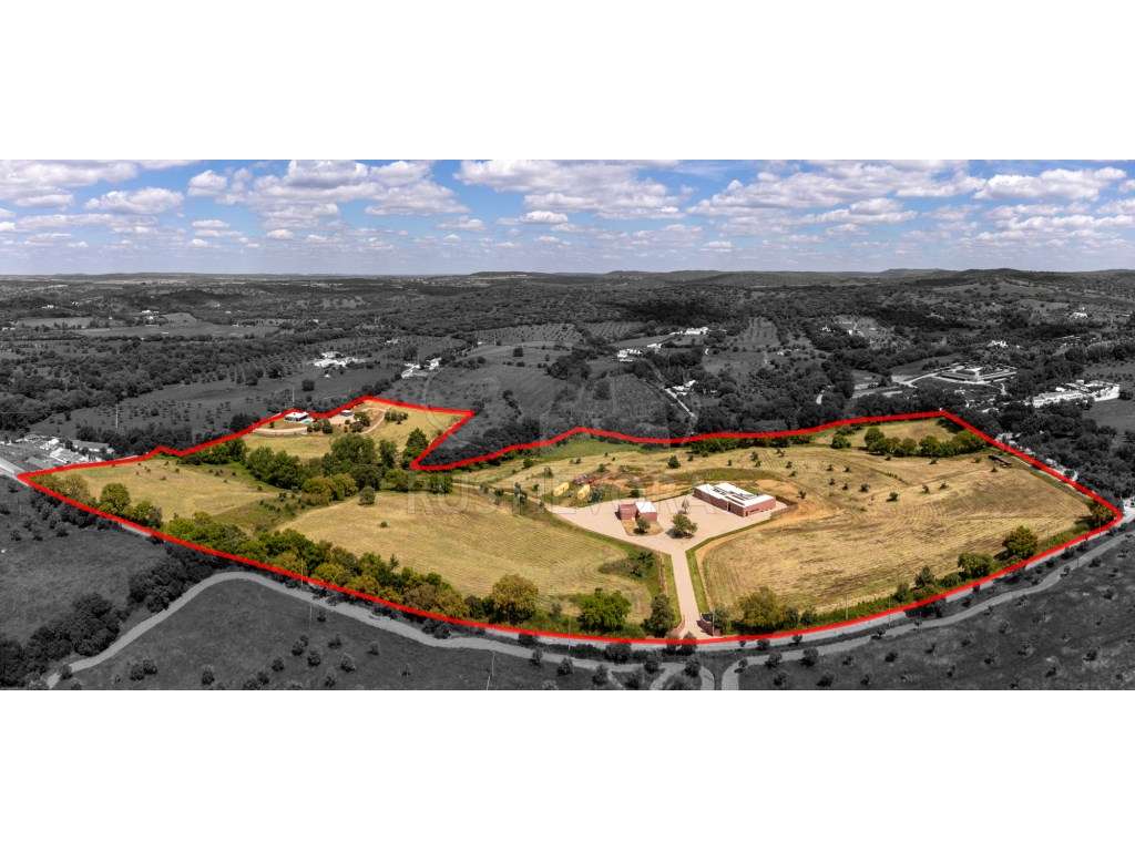 Quinta de Luxo no Alentejo - Um Refúgio Exclusivo em Montemor-o-Nov...-4