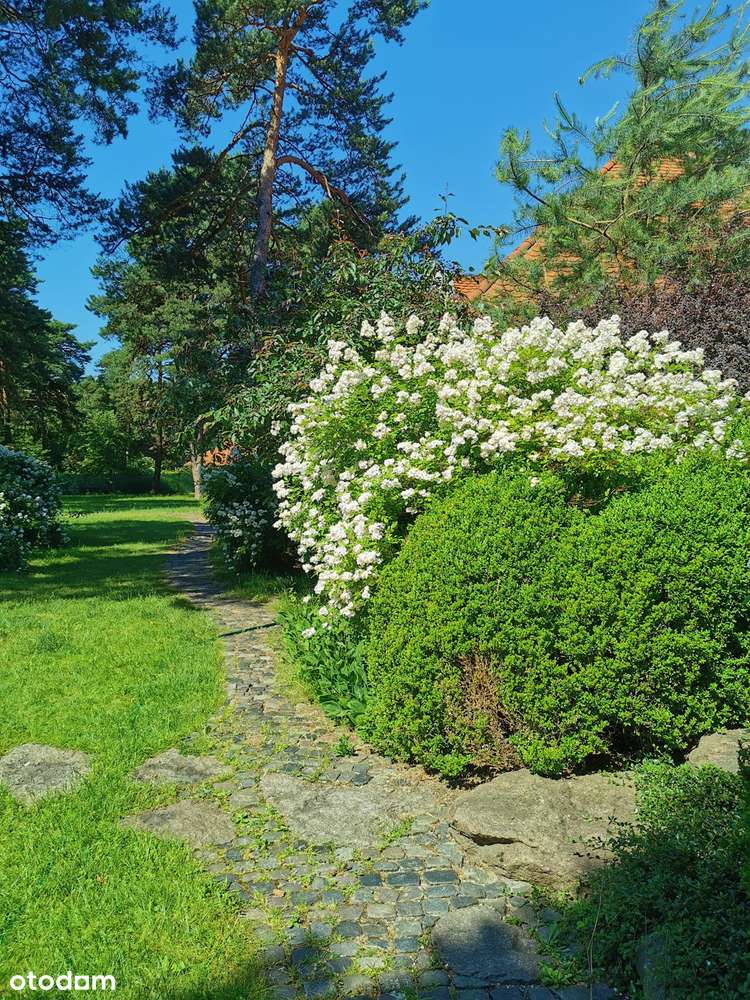 Działka budowlana w Józefowie ul. Wąska-4