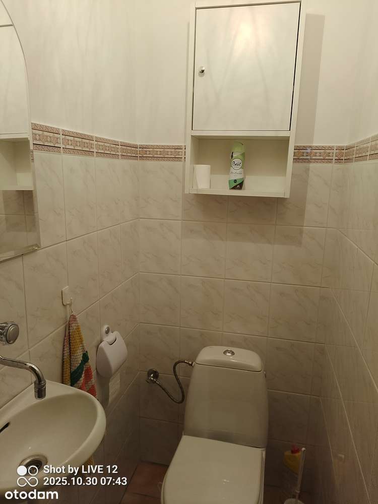 Mieszkanie 3-pokojowe, + strych o pow. 50m+ogród i miejscem postojowym - Pełny obrazek: 5/8