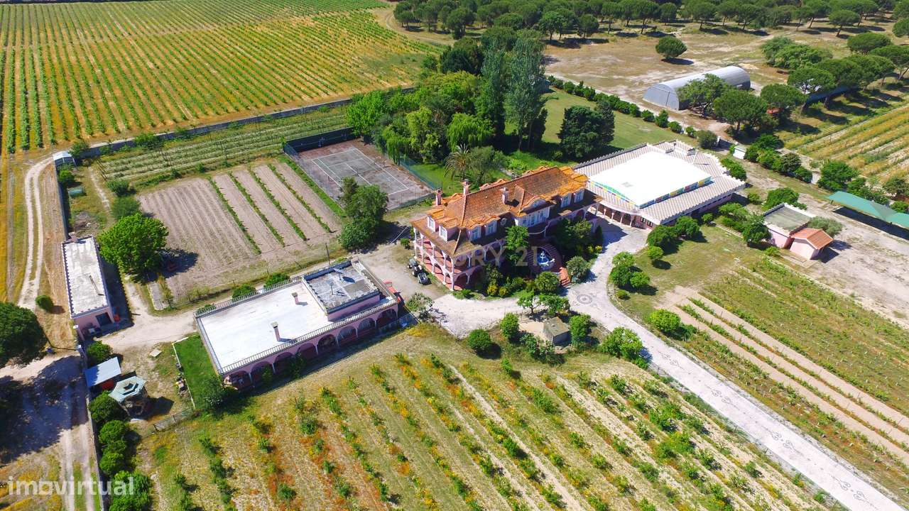 Herdade no Poceirão com 101 ha - Palmela - Grande imagem: 5/60