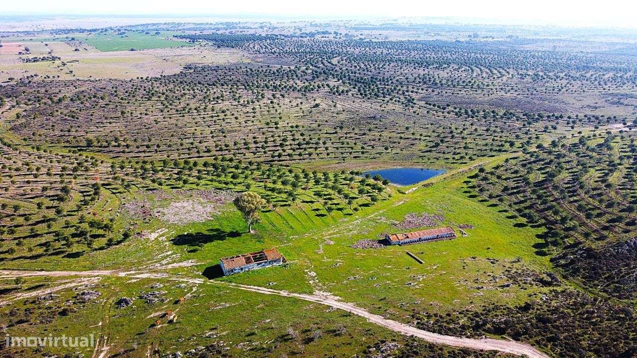 Herdade junto ao Lago de Alqueva - Mourão - Grande imagem: 4/15