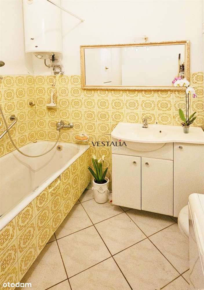 mieszkanie z dużym potencjałem Dąbrowa Gór-Gołonóg-4