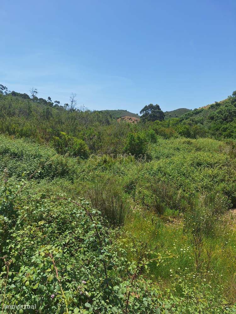 Terreno com 89.030 m² à venda em São Bartolomeu de Messines-14