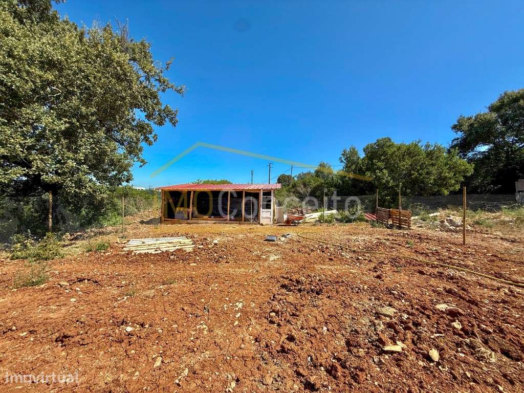 TERRENO RÚSTICO || ALMOSTER || SANTARÉM - Grande imagem: 3/11