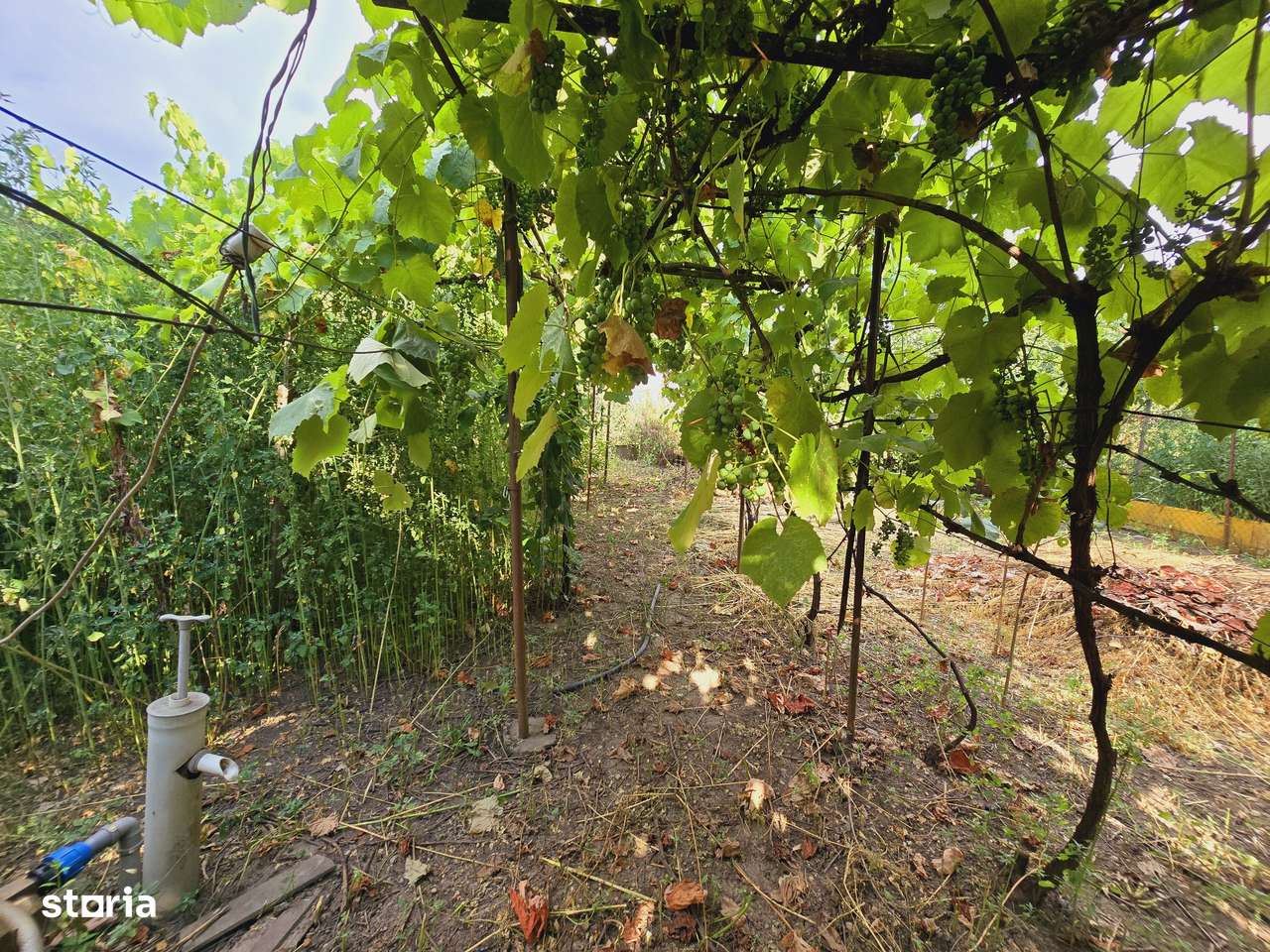 Teren intravilan 633mp in Gradiste - Imagine principală: 3/8