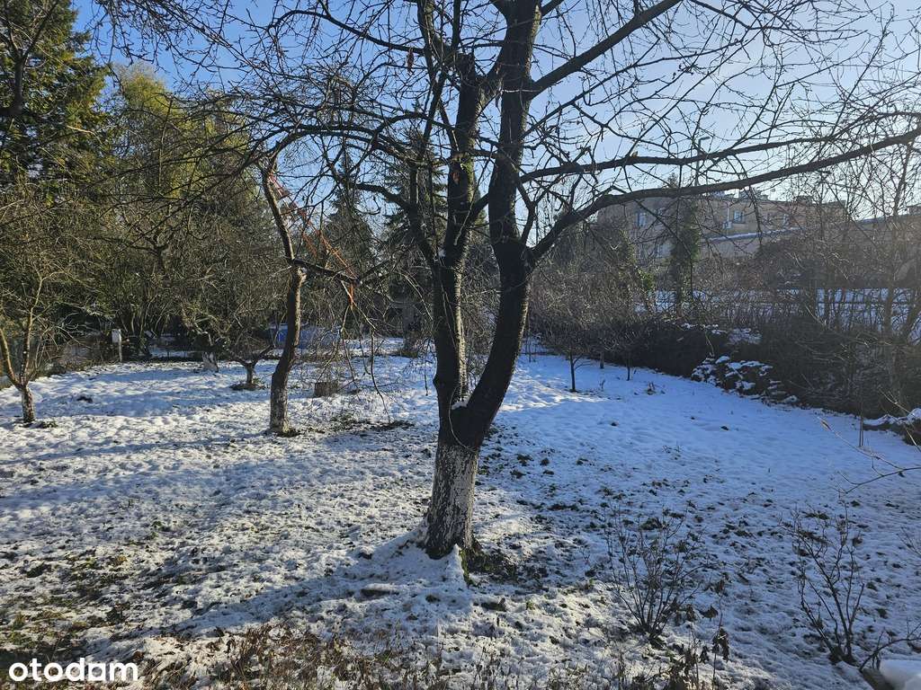 Działka ROD, Dmowskiego, przy pętli Górczyn-4