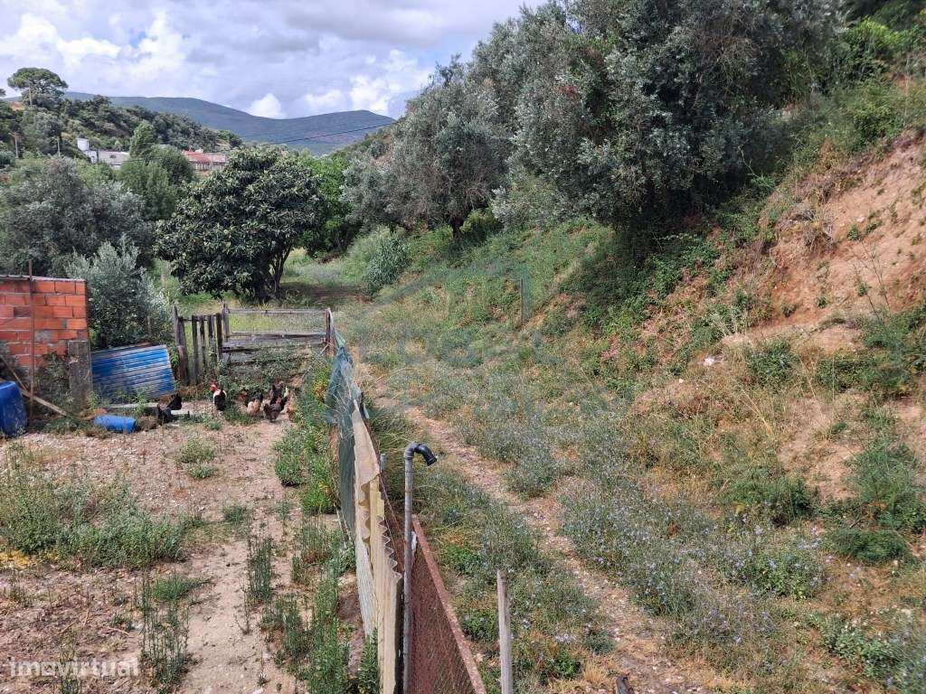 Exclusiva Propriedade em Alcanena | Duas Utilizações Independentes,...-30