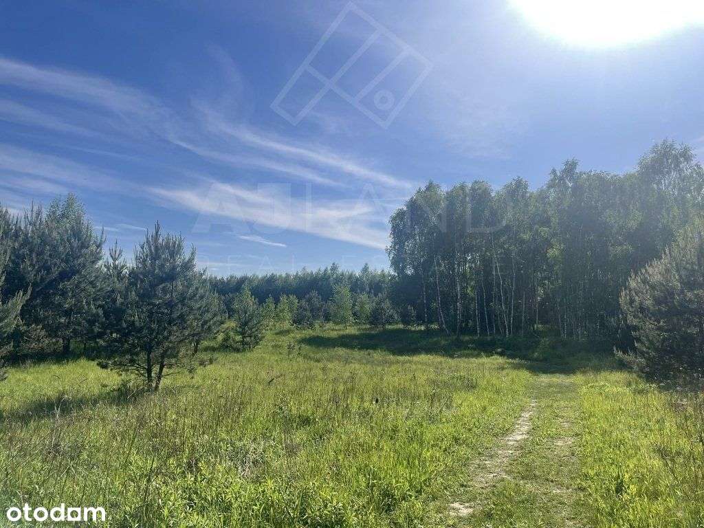 Działka w Mpzp w leśnym zaciszu! - Pełny obrazek: 1/7