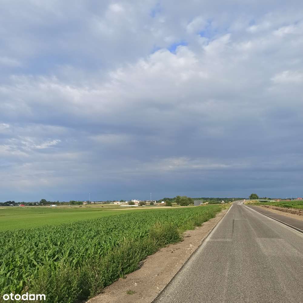 Działki inwestycyjne Kościan 5533m2-5