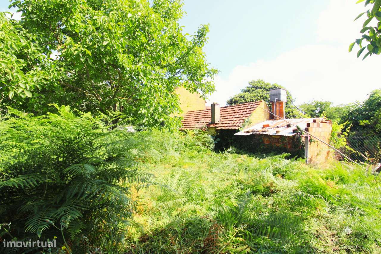 Moradia T3 para reabilitar em Oliveira do Bairro-16