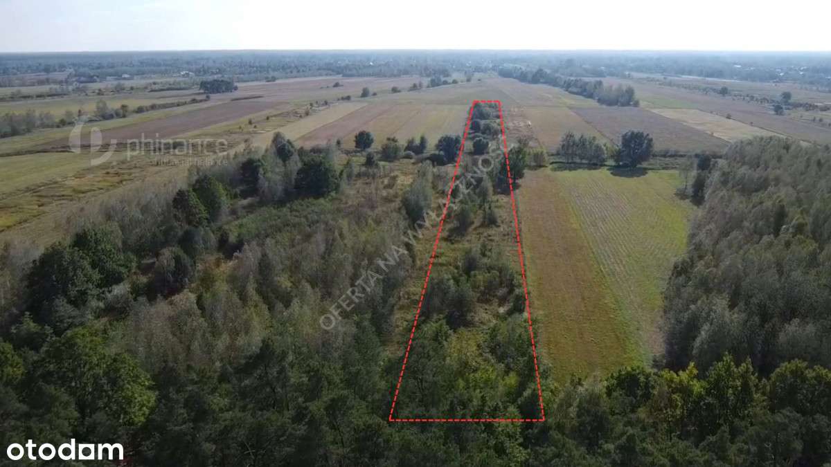 Grunt 1,27 ha | budowlano-rolny | gm. Czosnów - Pełny obrazek: 5/7