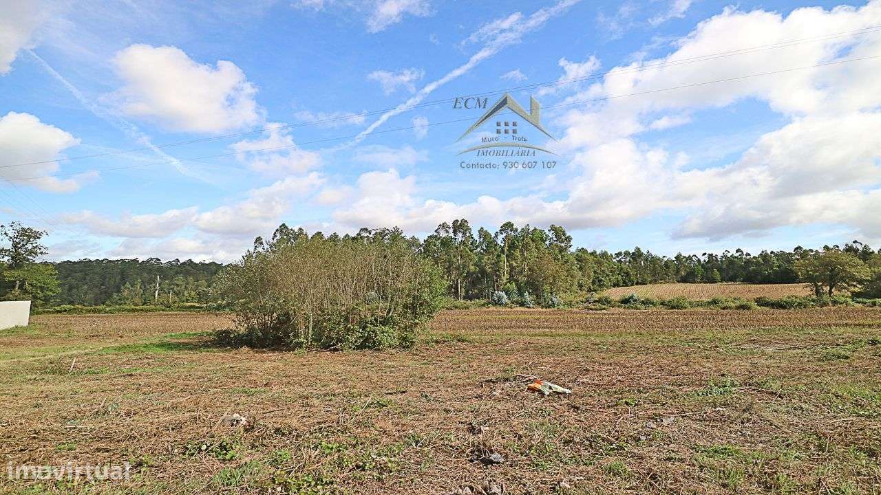 Terreno 20.000m/2 Macieira da Maia-28