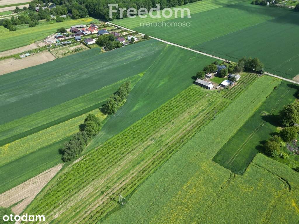 Działka rolno-budowlana w gminie Krzczonów - Pełny obrazek: 5/7