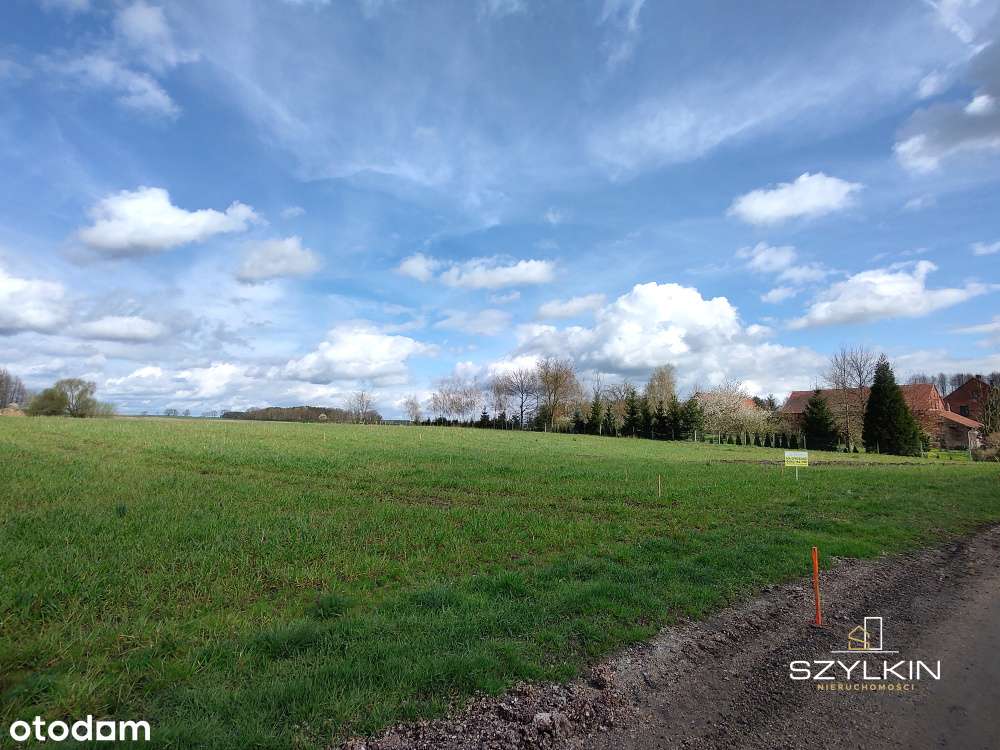 Działka budowlana w okolicach Sulechowa/Klępsk. - Pełny obrazek: 4/9
