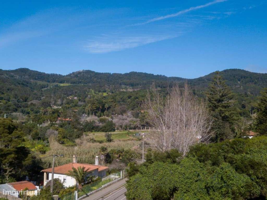 Terreno para construção com vista mar na Malveira da Serra - Grande imagem: 4/25