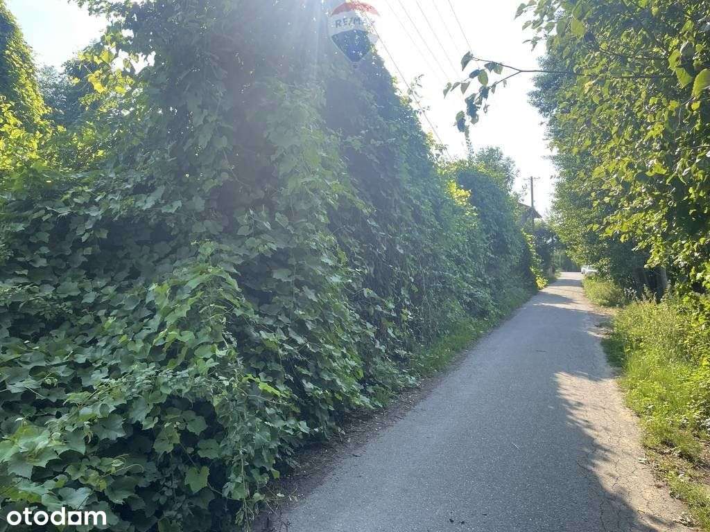 Działka budowlana Krzeczów | media | droga - Pełny obrazek: 4/11