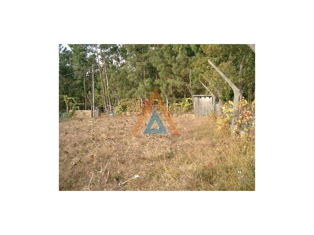 Excelente Terreno urbano - Grande imagem: 4/5