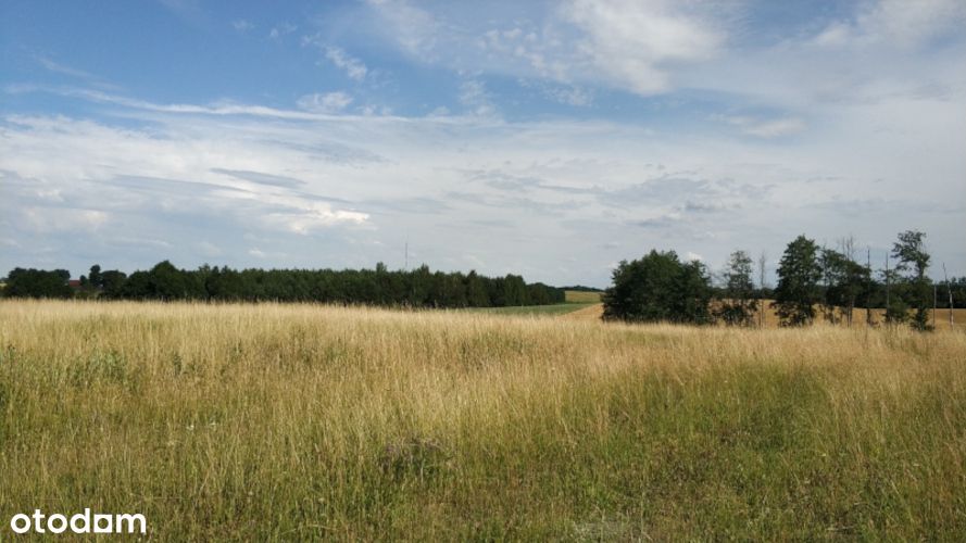 BEZPOŚREDNIO Działka 4ha z WZ Rydzewo koło Giżycka