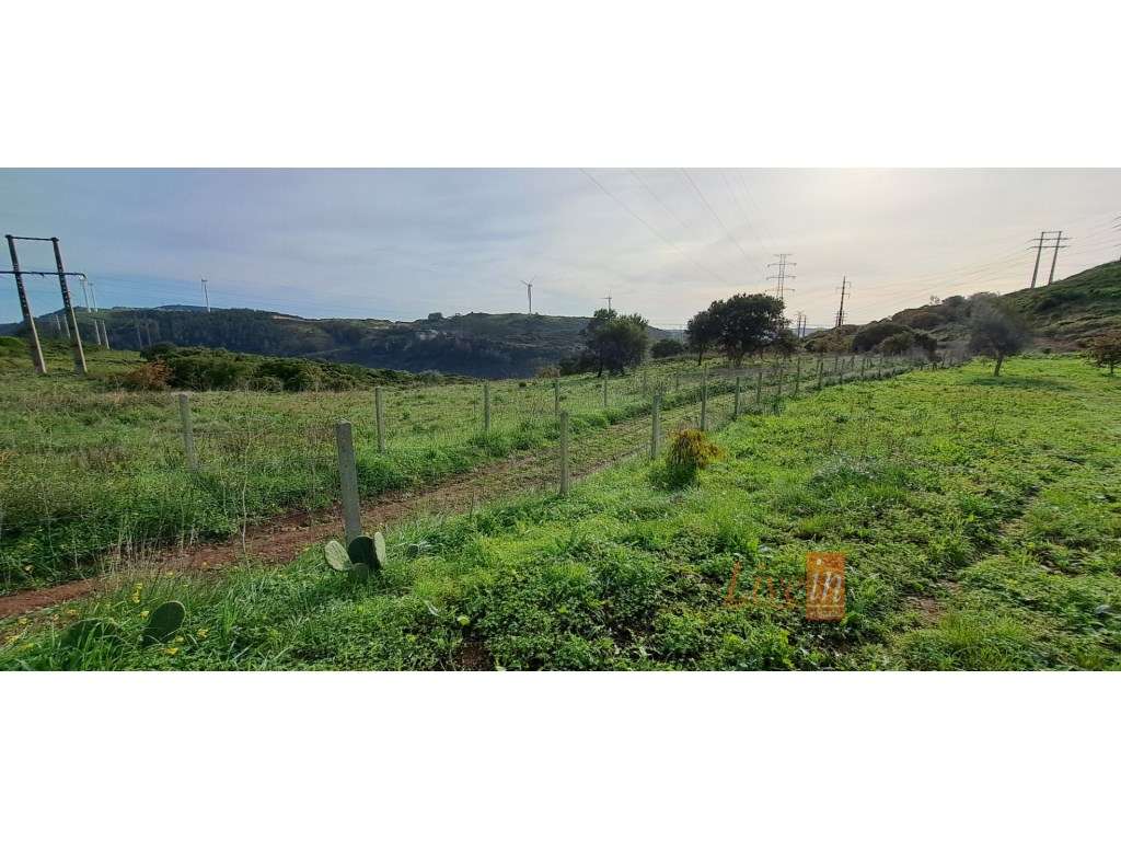 Terreno com Furo e Mina de água em Fanhões - Grande imagem: 2/20