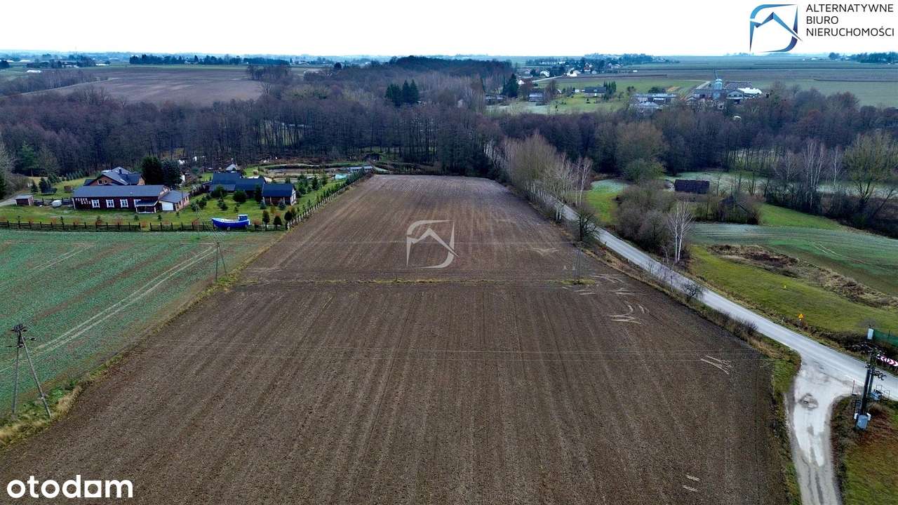 Działka z wydanymi WZ w Starym Gaju - Pełny obrazek: 4/12