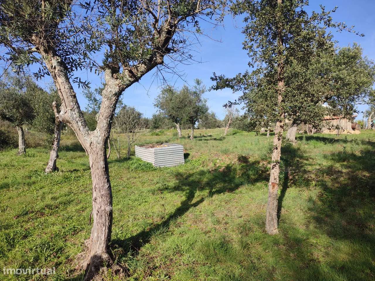 Fantástica Quintinha em Tinalhas, Castelo Branco - Grande imagem: 3/47