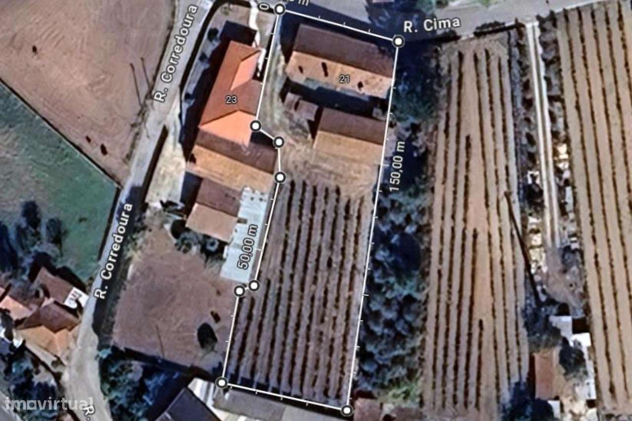 Moradia T3 em Levira, Anadia-19