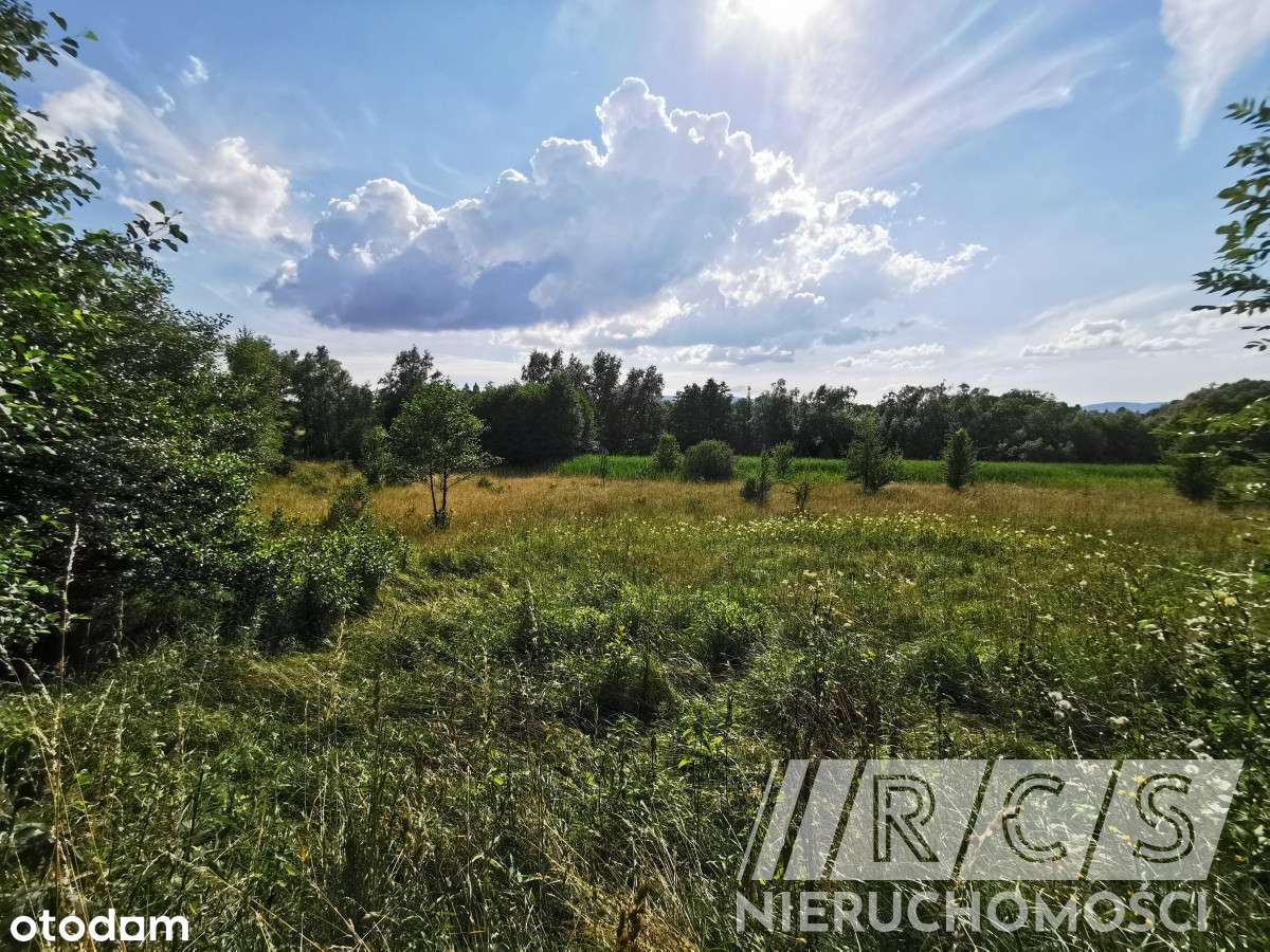 Atrakcyjna działka w pięknej okolicy - Pełny obrazek: 4/8